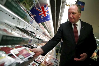 Australia Deputy PM Baa-naby's Kiwi Woes Create Chaos in Canberra