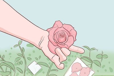 How to Buy Rose Bushes