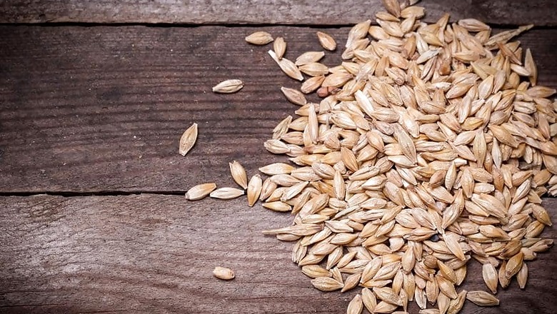 Govt Achieves New Record in Wheat Procurement at 38.2 Million Tonnes