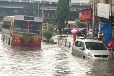 Mangroves Destruction, Unplanned Construction to Blame for Flooding in Mumbai, Say Experts