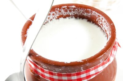 4 Tips To Prevent Curd From Turning Sour In Summer