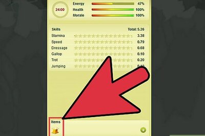 How to Sell Your Horse Quickly on Howrse