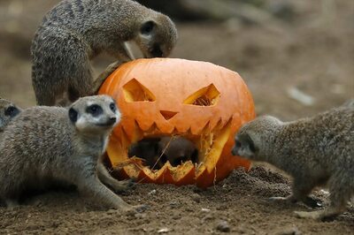 Halloween Celebrations: 5 Last-Minute Spooky Getaways Across The World