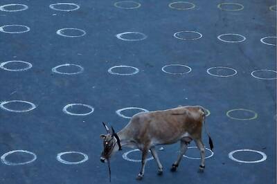 Odisha Govt Seals Satya Nagar After Man With No Travel History At All Tests Positive for Virus