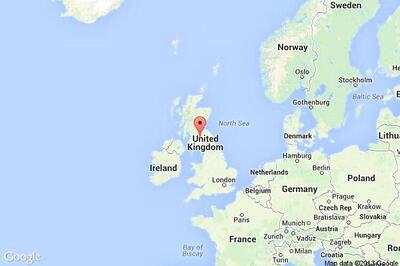 UK puppy has facelift to save his sight