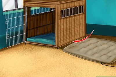 How to Get Your Dog to Sleep