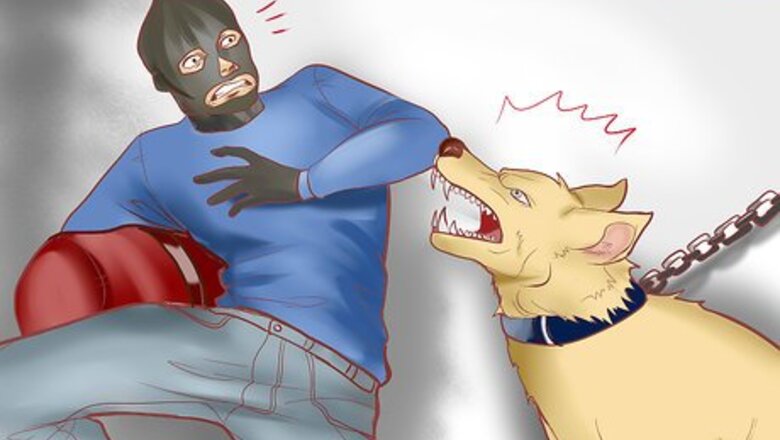 How to Find a Good Guard Dog
