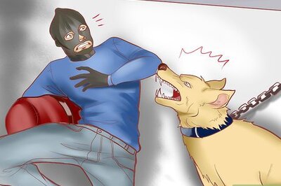 How to Find a Good Guard Dog