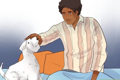 How to Forget a Bad Dream and Fall Back Asleep