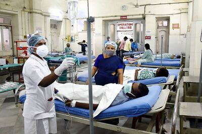 Cricket Ball-sized Black Fungus Removed from Man's Brain in Patna, Patient's Condition Stable