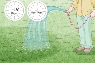 How to Take Care of Your Lawn