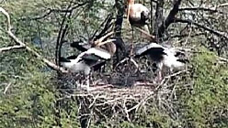 Water politics peaks at Bharatpur