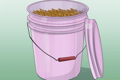 How to Malt Your Own Barley at Home