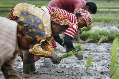 This Pune-Based Firm is Addressing Landlessness in Agriculture Through Waste Management