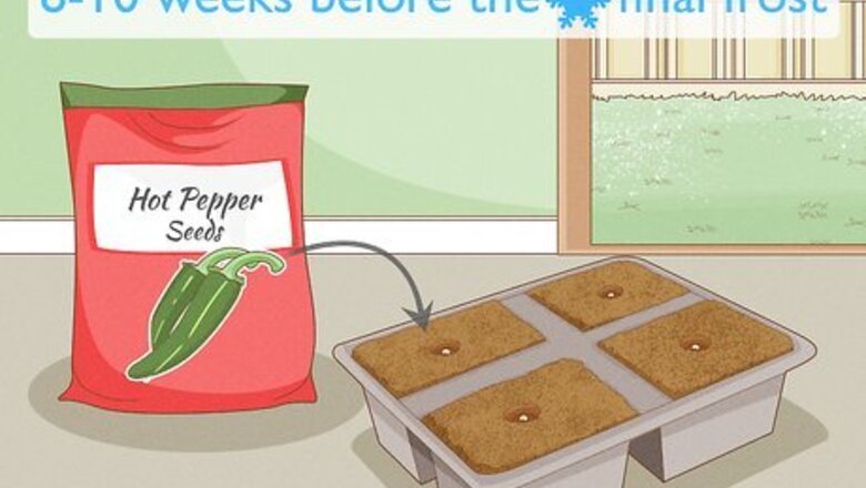How to Grow Hot Peppers
