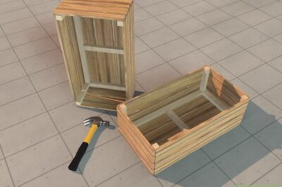 How to Make a Home for Your Hedgehog