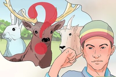 How to Hunt