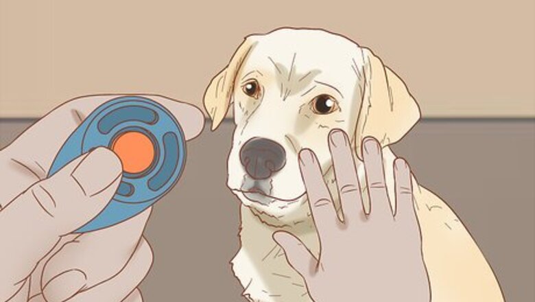 How to Teach Your Dog to Close the Door
