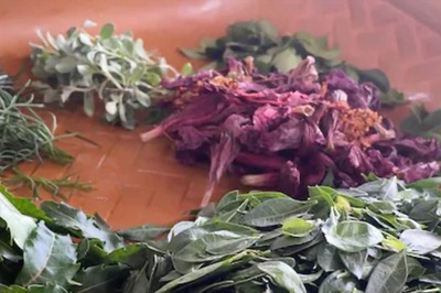 Curry leaves To Aloe Vera, Natural Ingredients That Can Help Promote Hair Growth