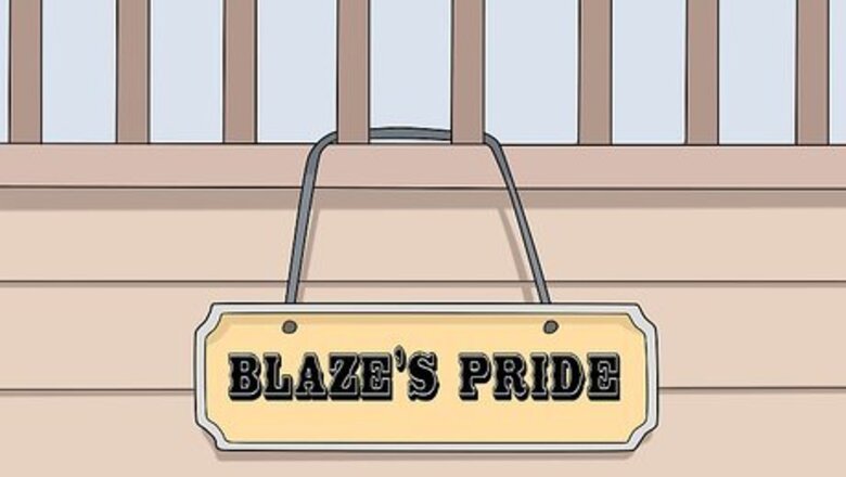 How to Think of a Show Name for Your Horse or Pony