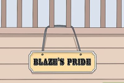 How to Think of a Show Name for Your Horse or Pony