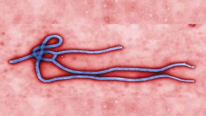 India-Africa December summit cancelled due to Ebola
