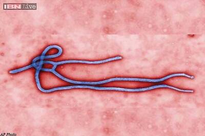 India-Africa December summit cancelled due to Ebola