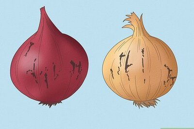 5 Signs an Onion Is Bad (Plus Onion Storage Tips & Shelf Life Info)