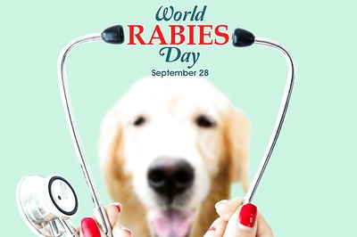 World Rabies Day 2023: Theme, History, Rabies Cause, Symptoms, Cure and Prevention