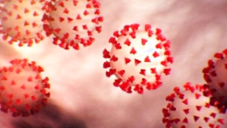 Bharat Biotech Submits Phase-1 Trial Data of 'Game Changer' Intranasal Covid Vaccine
