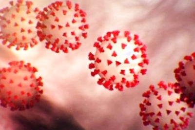 Bharat Biotech Submits Phase-1 Trial Data of 'Game Changer' Intranasal Covid Vaccine