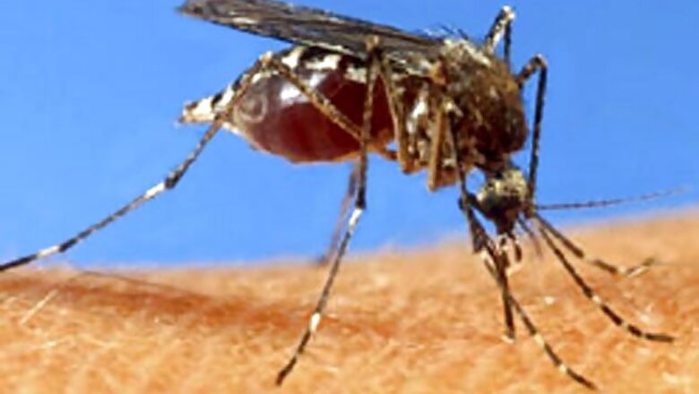 Delhi: 37 fresh cases of dengue reported