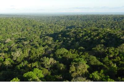 Brazil President Imposes 4-month Ban on Setting Agricultural & Forest Fires to Preserve Amazon