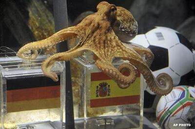 Paul the oracle octopus dies