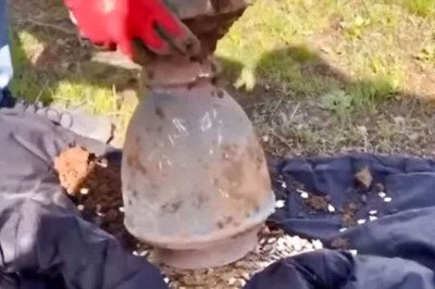 Treasure Hunters Find Snake In A Pot Full Of Gold, Internet Calls It 'Staged'