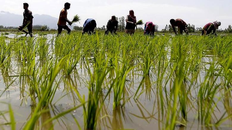Nagpur: Farmers who sought 'permission' for suicide get their dues