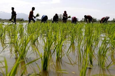 Nagpur: Farmers who sought 'permission' for suicide get their dues