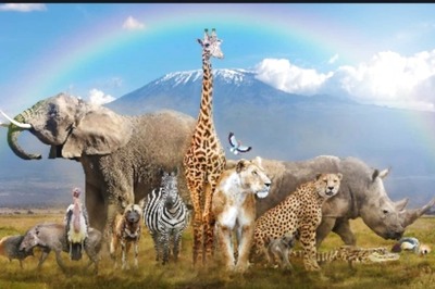 World Wildlife Day 2023: Wishes, Quotes, SMS, Greetings and Slogans to Share