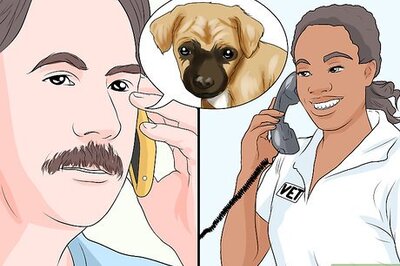 How to Handle Aspiration Pneumonia in Young Puppies