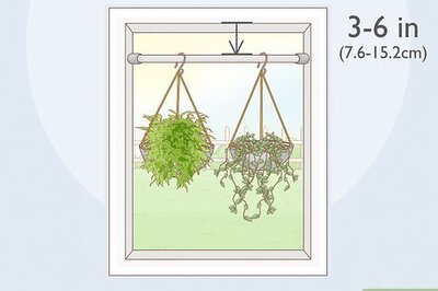 How to Hang Plants Without Holes