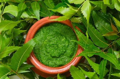 The Nutritional Benefits of Organic Food: A Comprehensive Guide