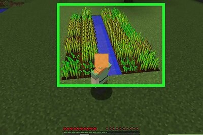 How to Start an Animal Farm on Minecraft