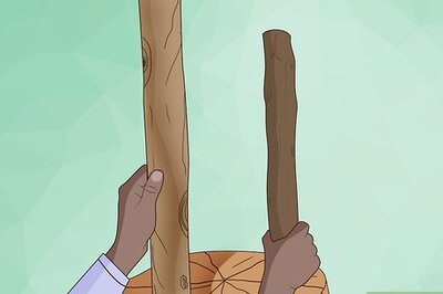 How to Collect Wood to Make a Walking Stick