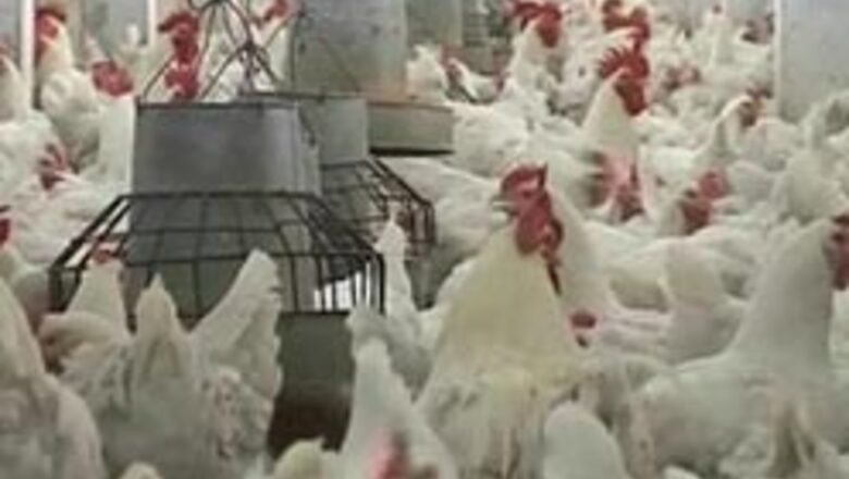 30,0000 people under watch for bird flu in Assam