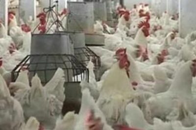 30,0000 people under watch for bird flu in Assam