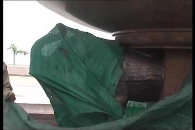 PIL against decision to cover elephant statues