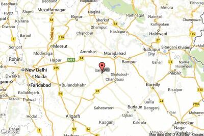 42 monkeys found dead in Sambhal