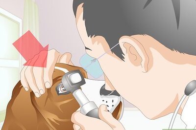 How to Clean Gunk from Your Dog's Eyes