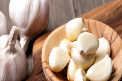 Sprouted Garlic Benefits: Do Not Throw Away Your Rich Source of Antioxidants