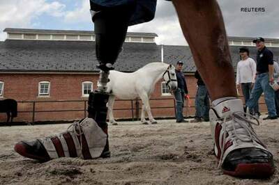 Lizard enzyme could help amputees regrow limbs